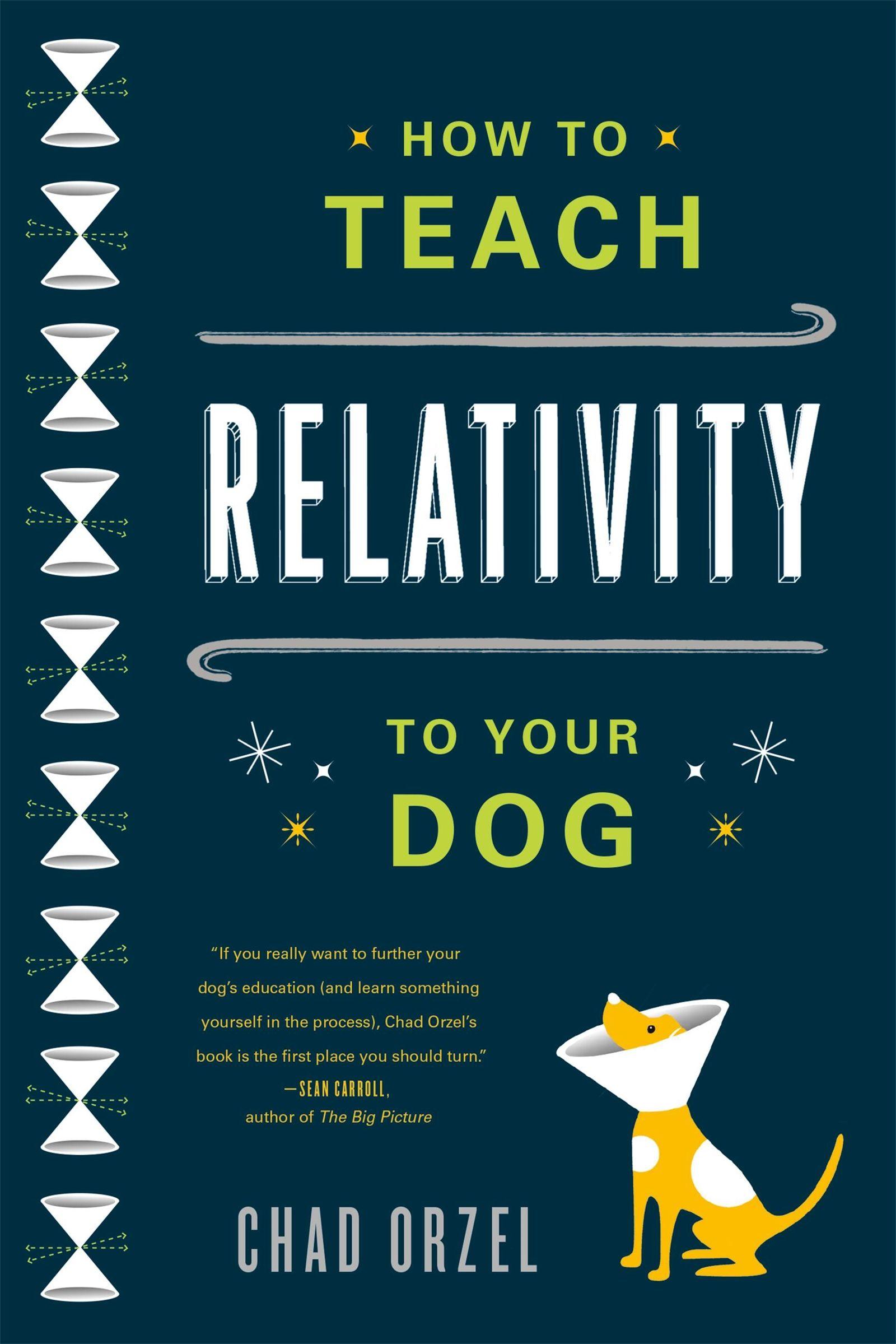 Vorderes Coverbild How to Teach Relativity to Your Dog