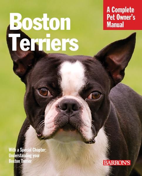 Vorderes Coverbild Boston Terriers
