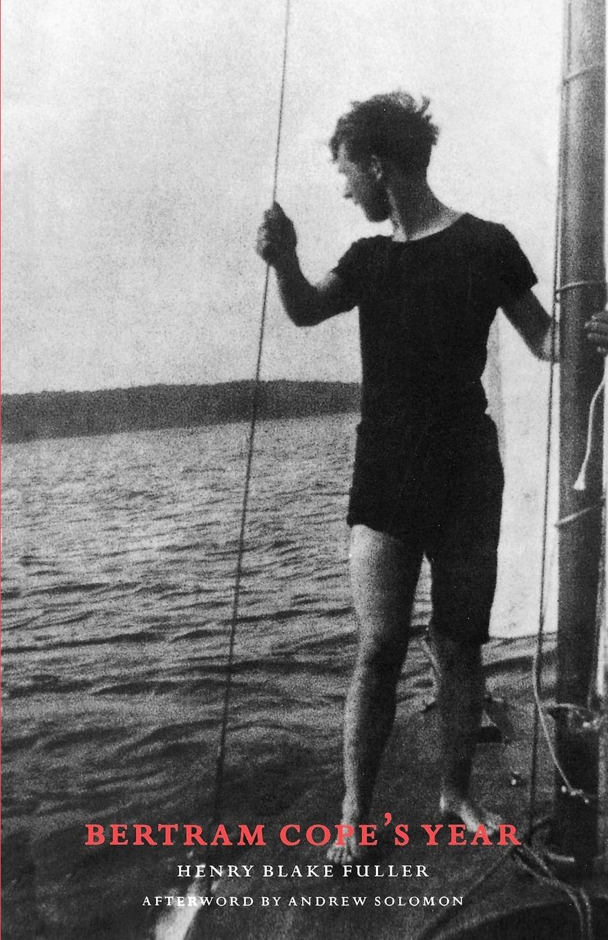 Vorderes Coverbild Bertram Cope's Year