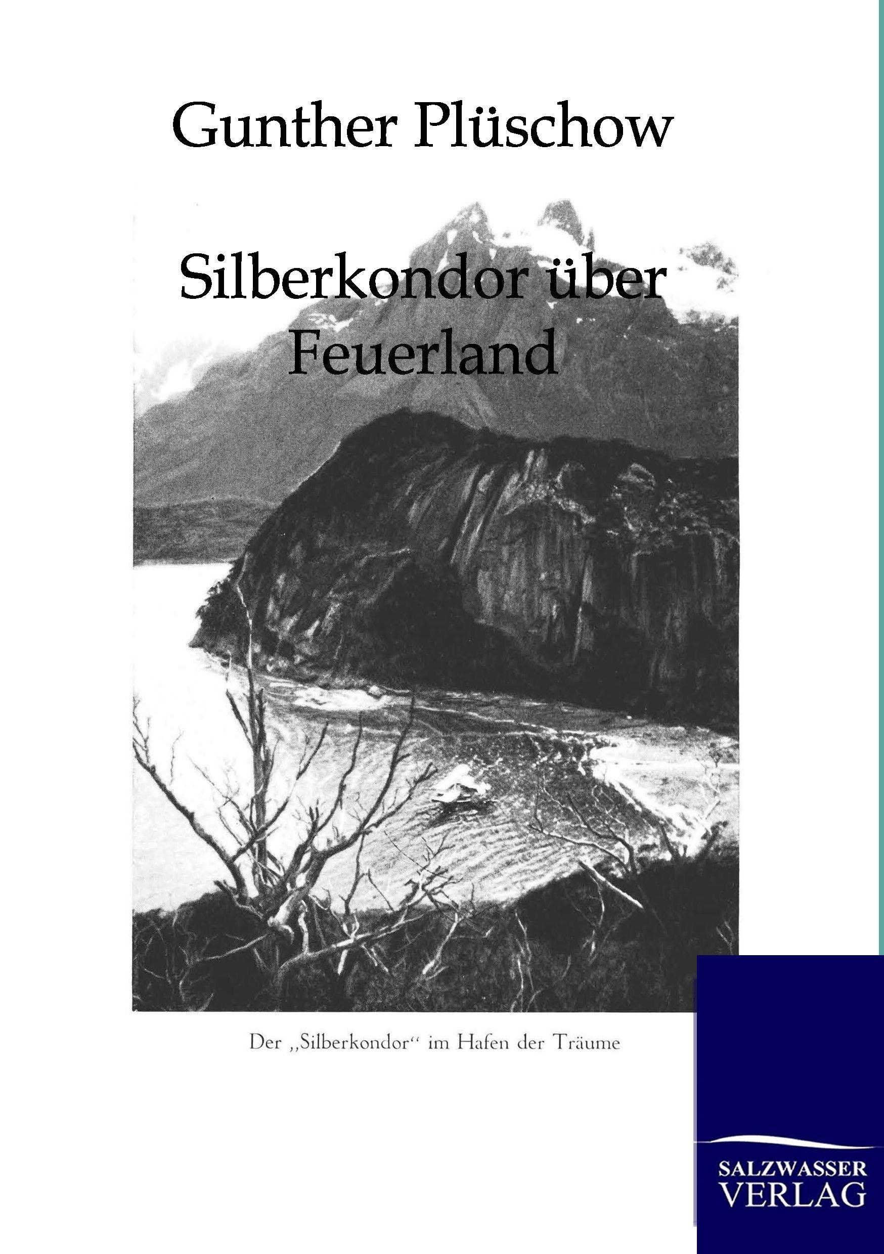 Vorderes Coverbild Silberkondor über Feuerland