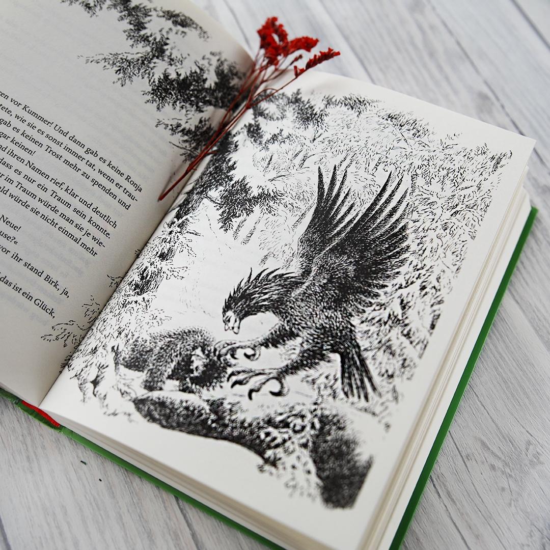 Beispielinhalt (Bild) Ronja, Räubertochter