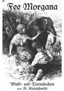 Vorderes Coverbild Fee Morgana