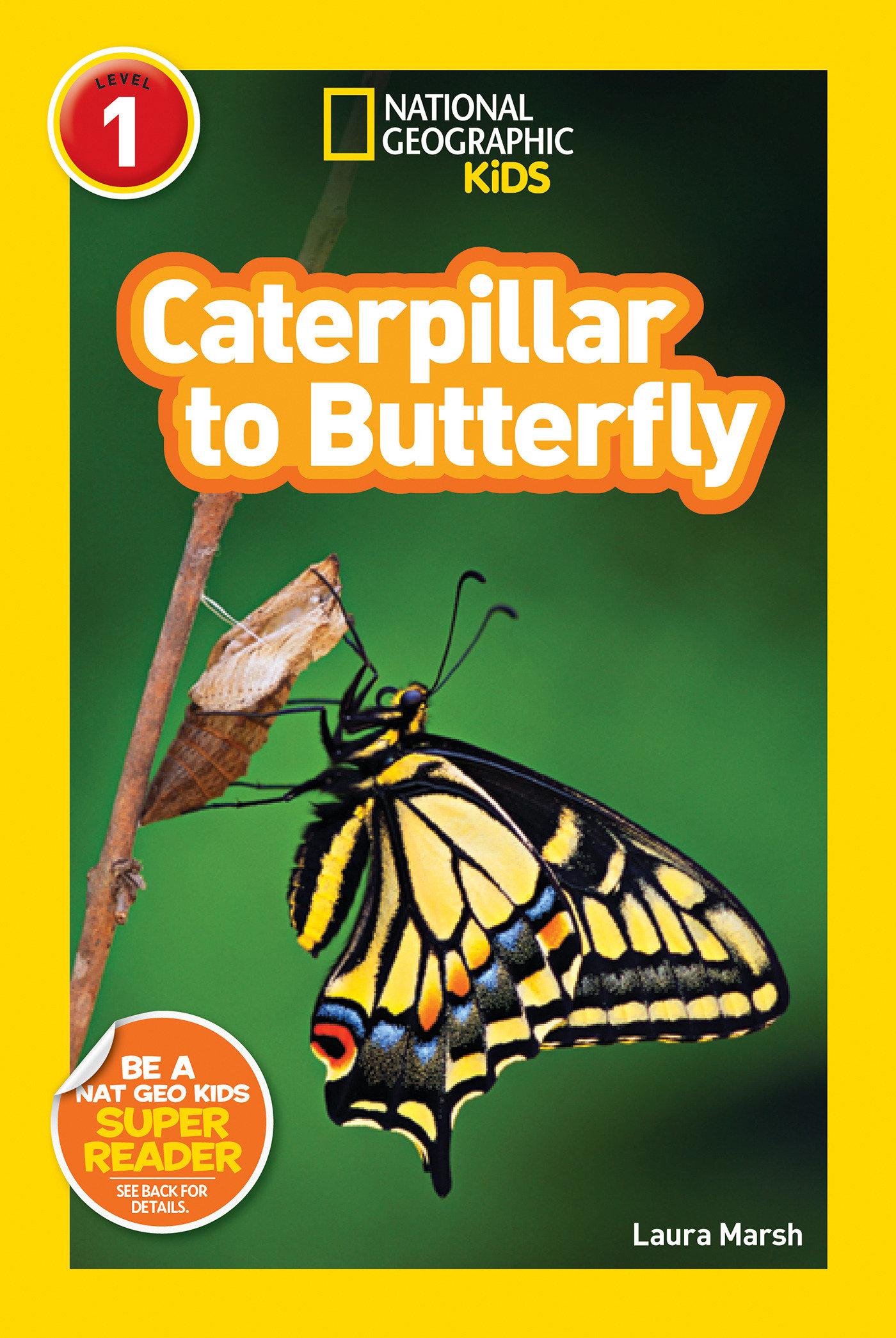 Vorderes Coverbild Caterpillar to Butterfly (National Geographic Kids Explore! Readers, Level 1)