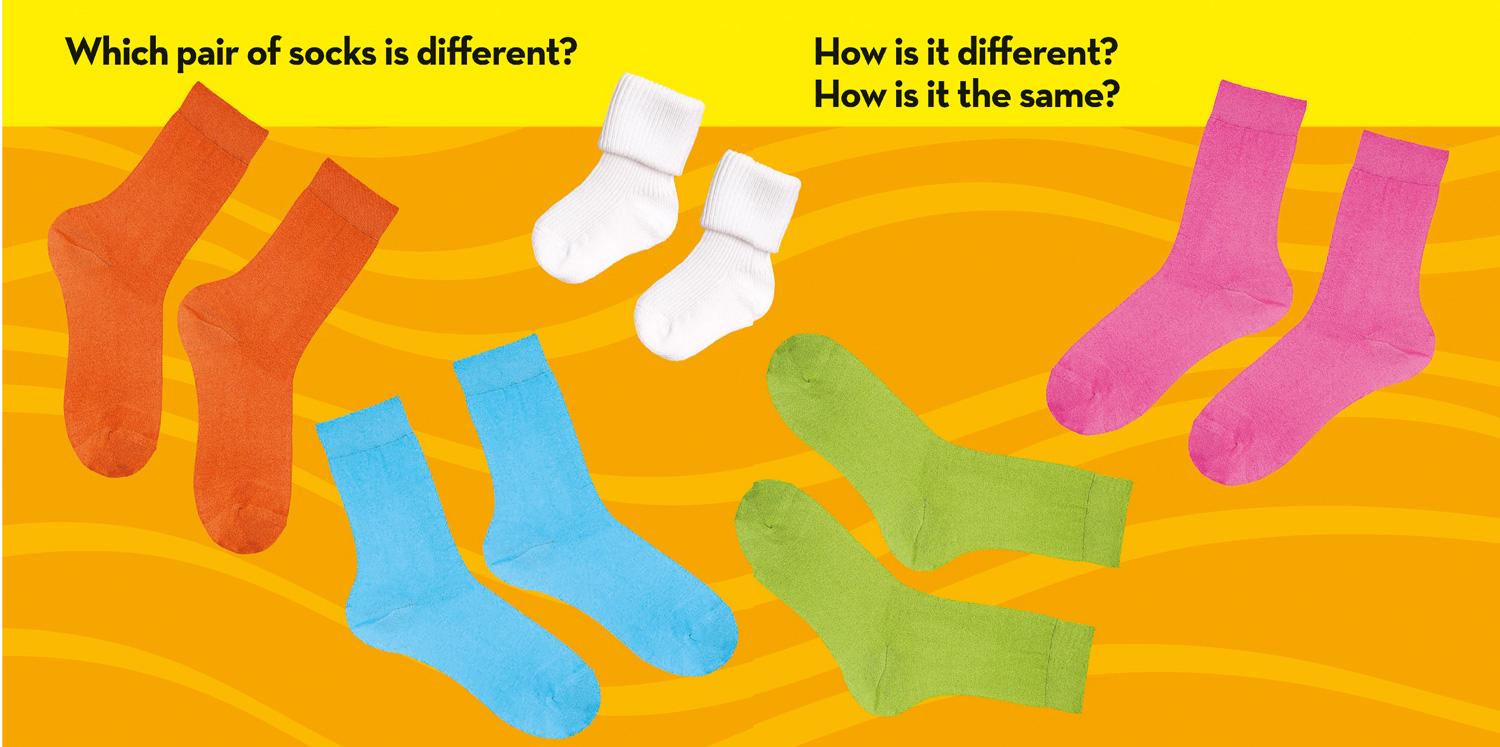 Beispielinhalt (Bild) National Geographic Kids Look & Learn: Same and Different