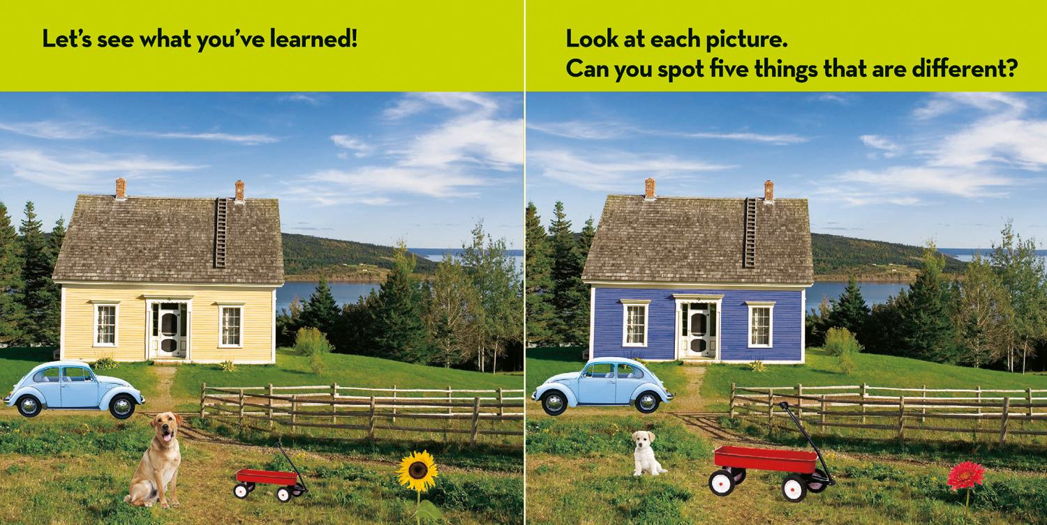 Beispielinhalt (Bild) National Geographic Kids Look & Learn: Same and Different