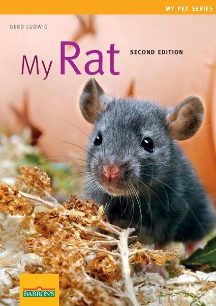 Vorderes Coverbild My Rat