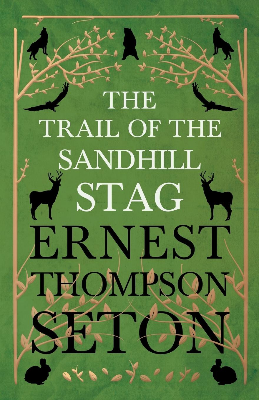 Vorderes Coverbild The Trail Of The Sandhill Stag