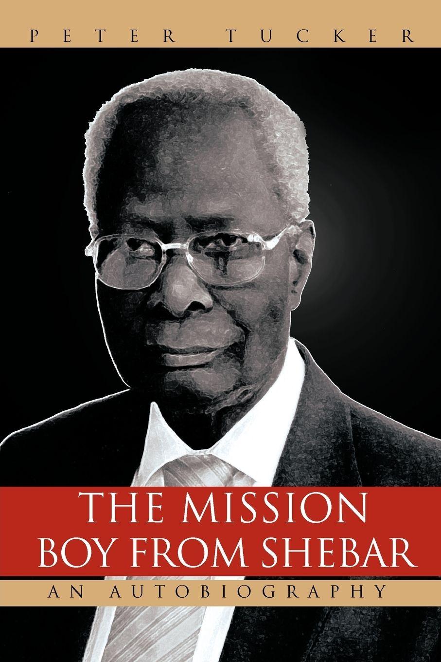 Vorderes Coverbild The Mission Boy from Shebar