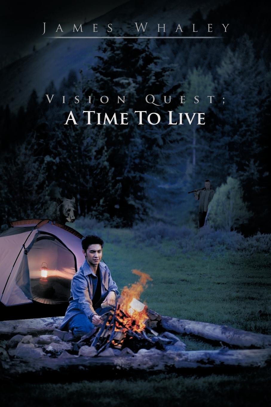Vorderes Coverbild Vision Quest; A Time to Live
