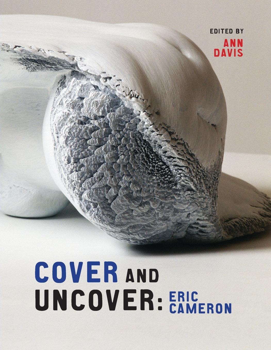 Vorderes Coverbild Cover and Uncover