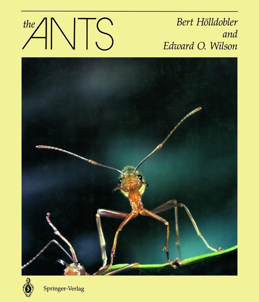 Vorderes Coverbild The Ants