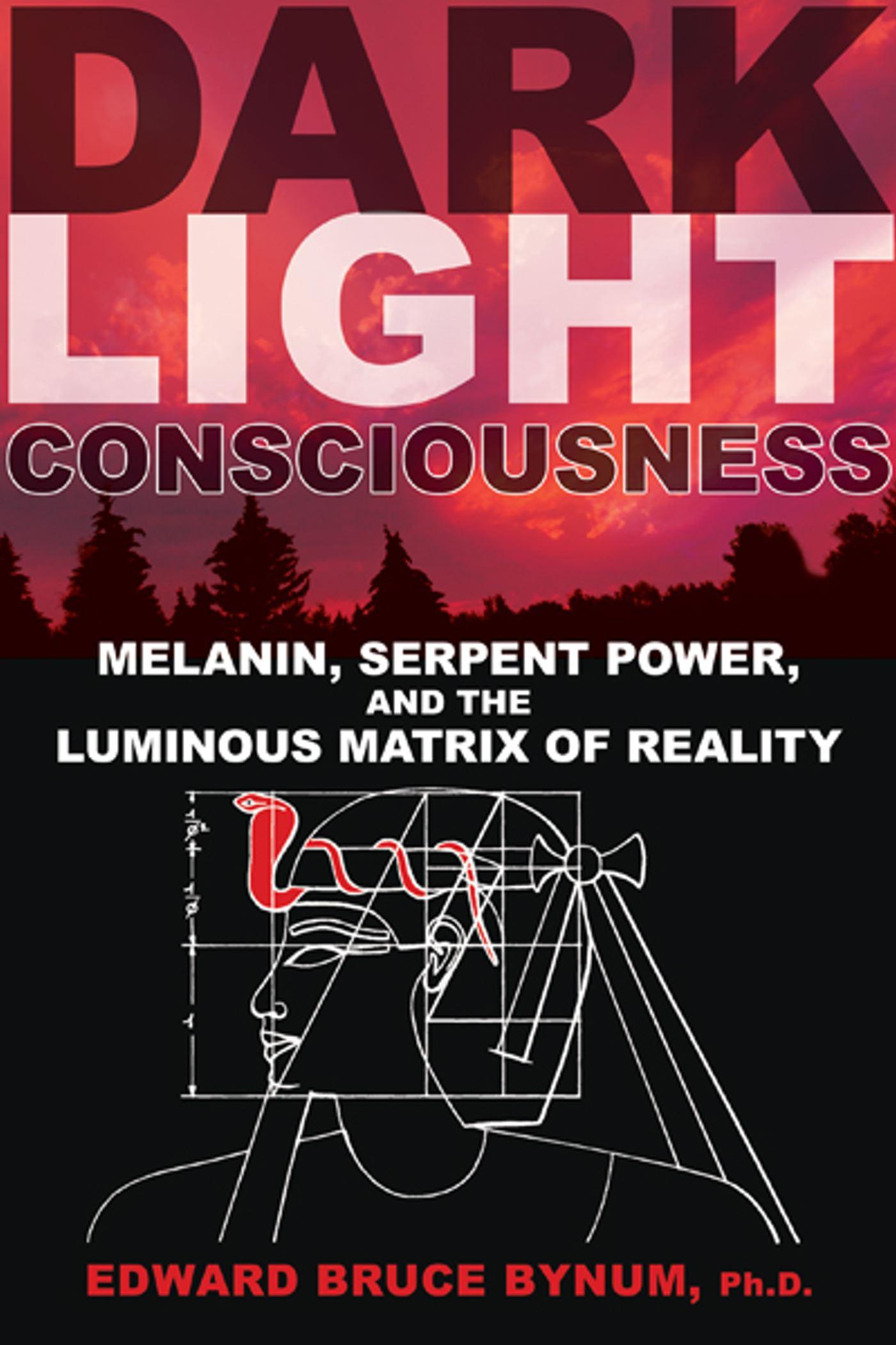 Vorderes Coverbild Dark Light Consciousness
