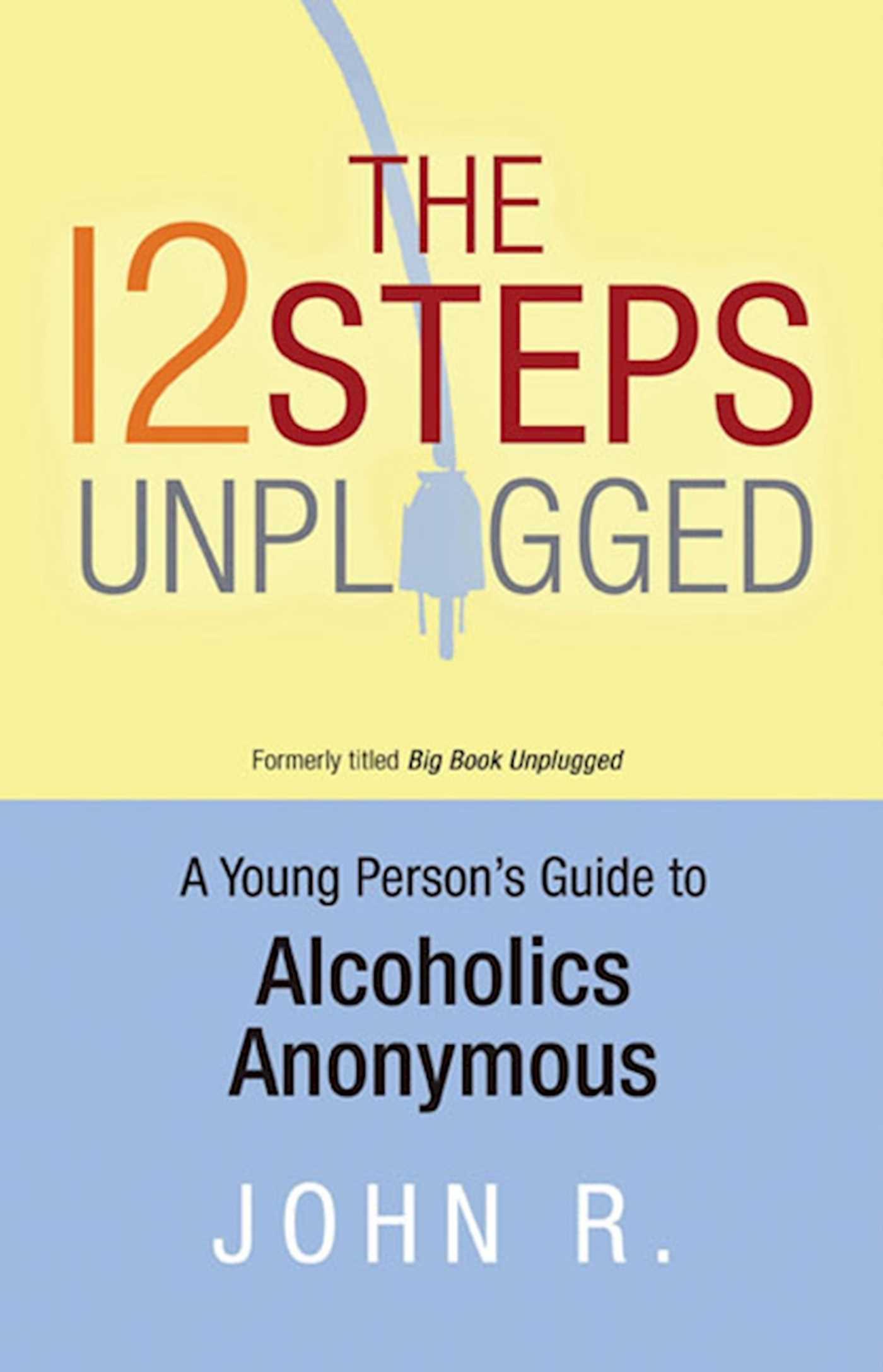 Vorderes Coverbild The 12 Steps Unplugged