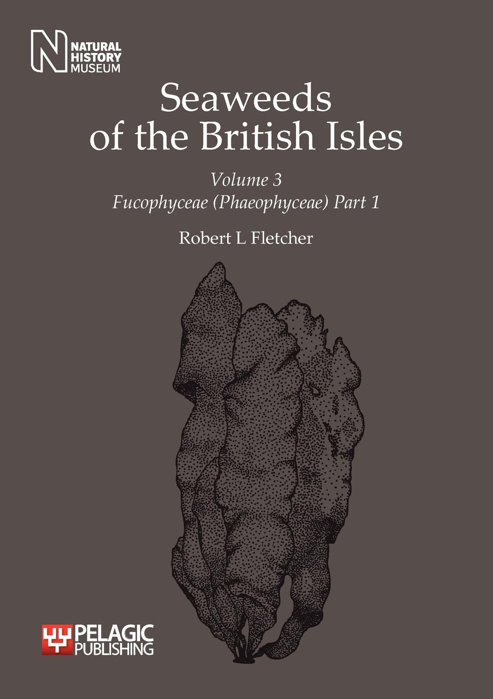 Vorderes Coverbild Seaweeds of the British Isles