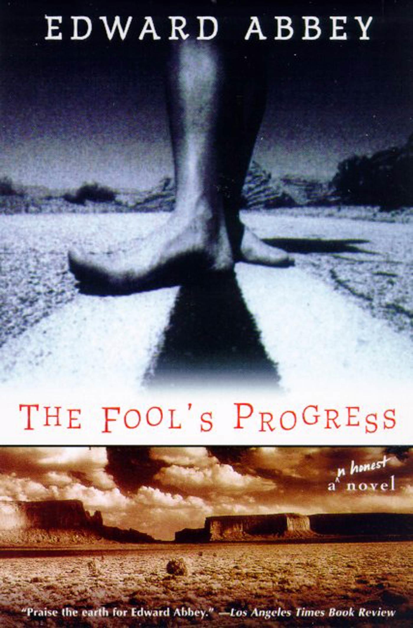 Vorderes Coverbild The Fool's Progress