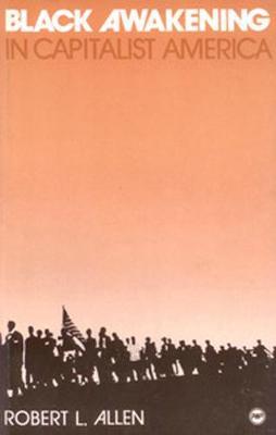 Vorderes Coverbild Black Awakening in Capitalist America: An Analytical History