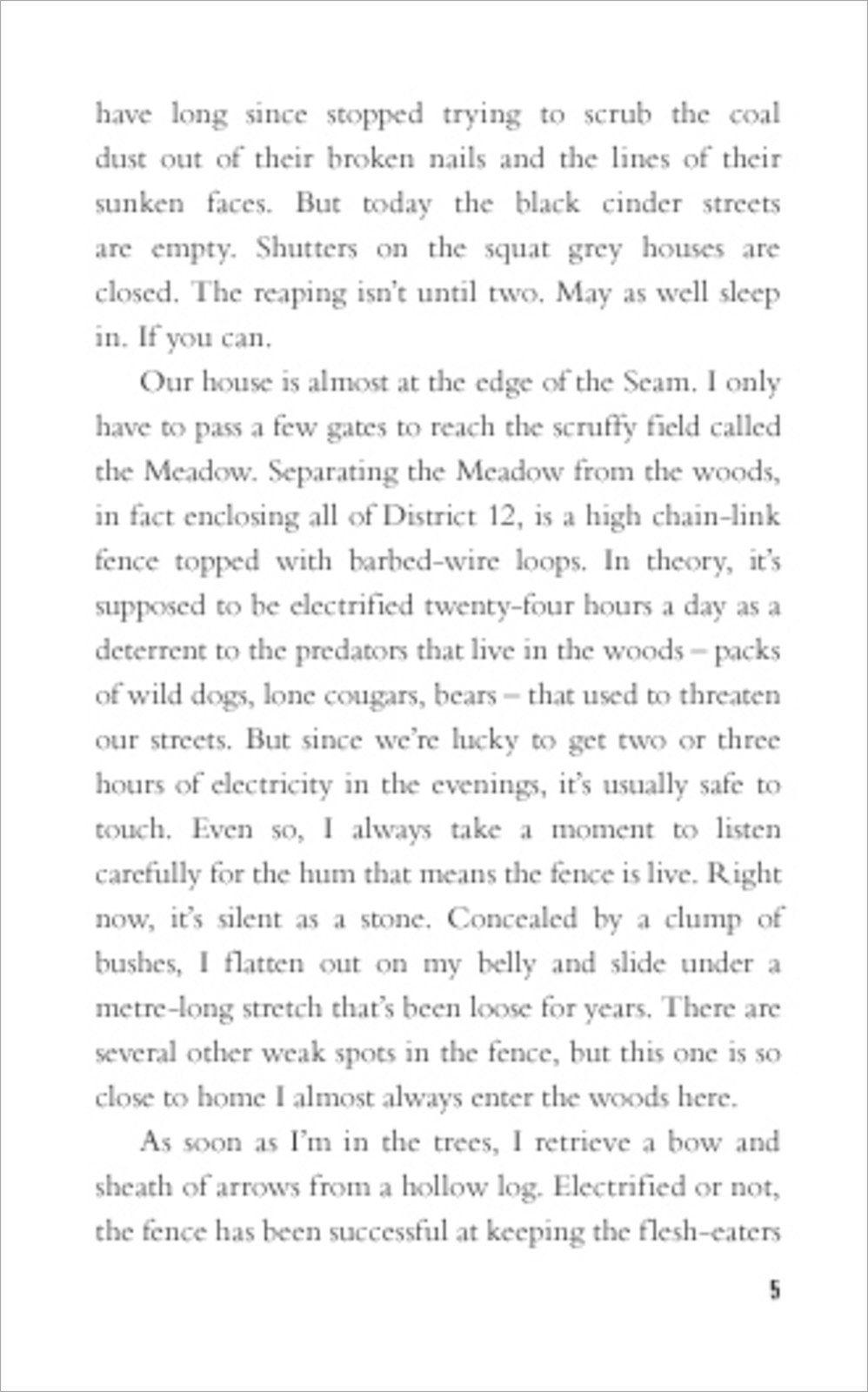 Beispielinhalt (Bild) The Hunger Games 1