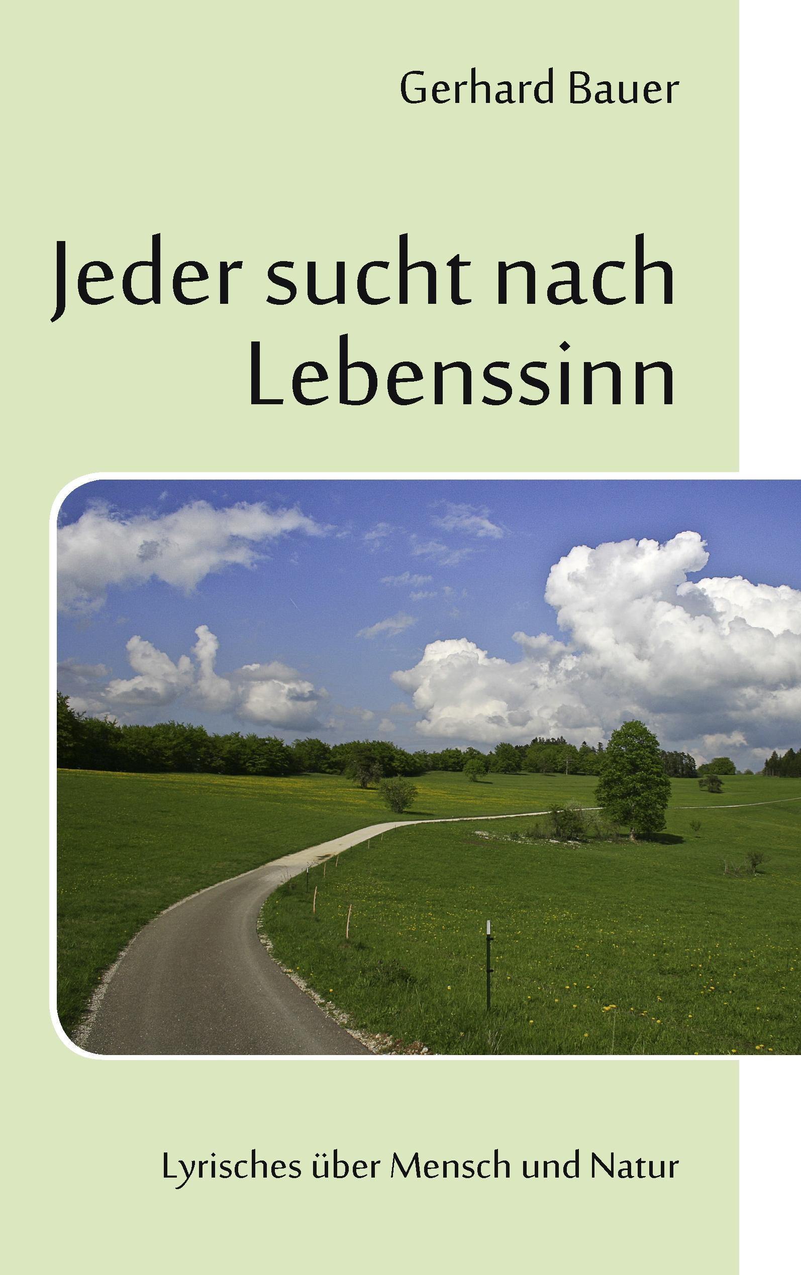 Vorderes Coverbild Jeder sucht nach Lebenssinn