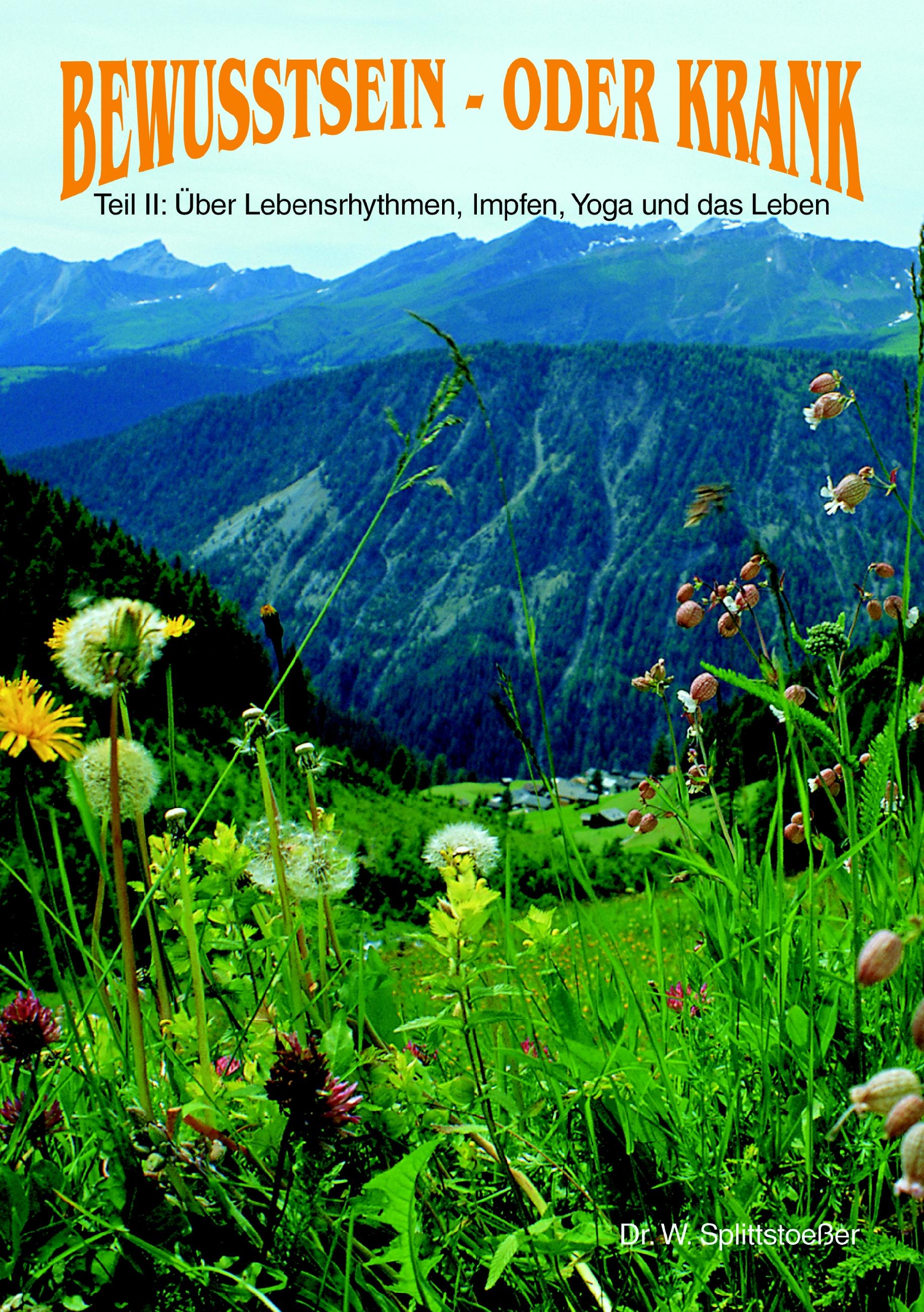 Vorderes Coverbild Bewußt sein oder Krank Teil 2
