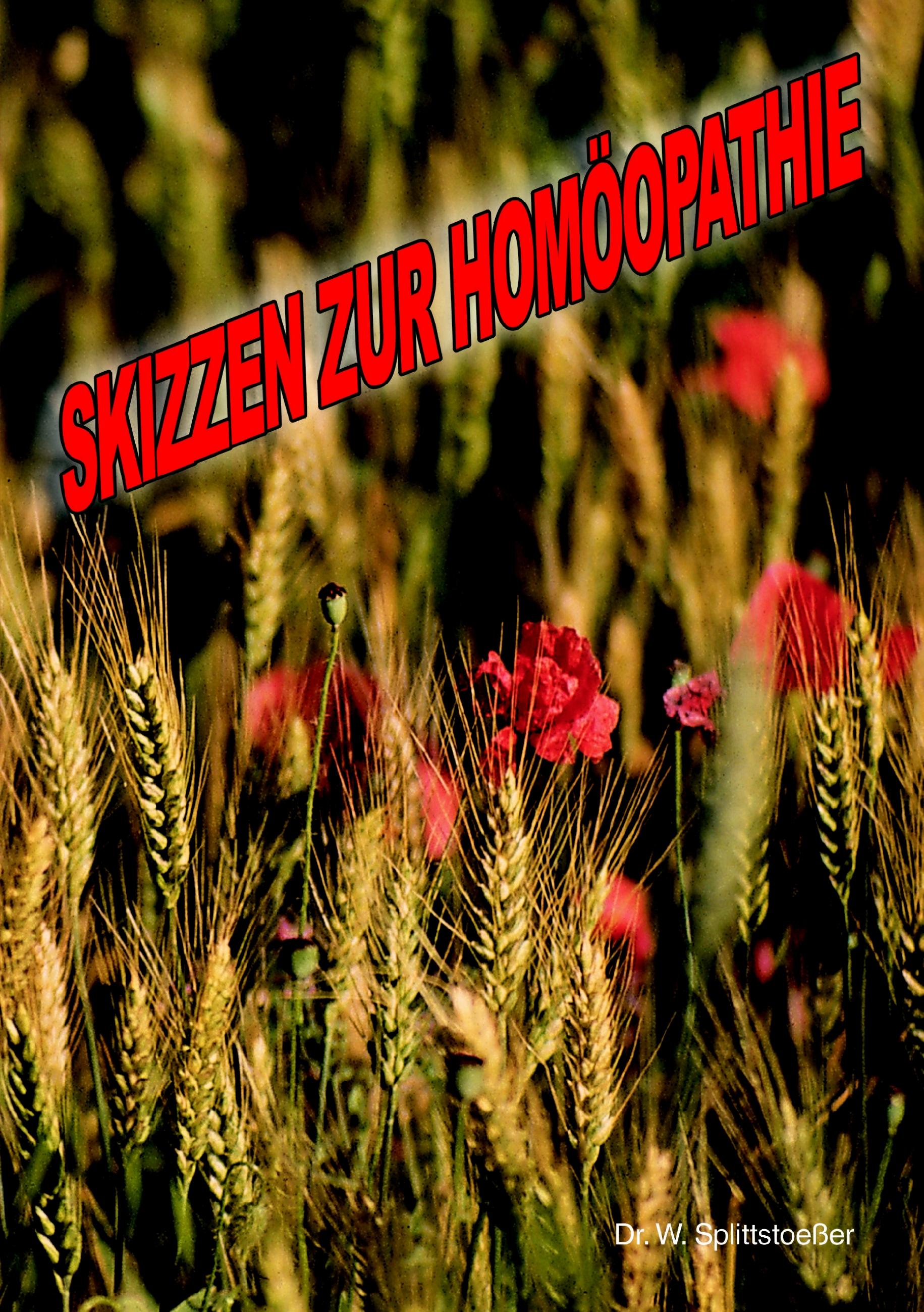 Vorderes Coverbild Skizzen zur Homoeopathie