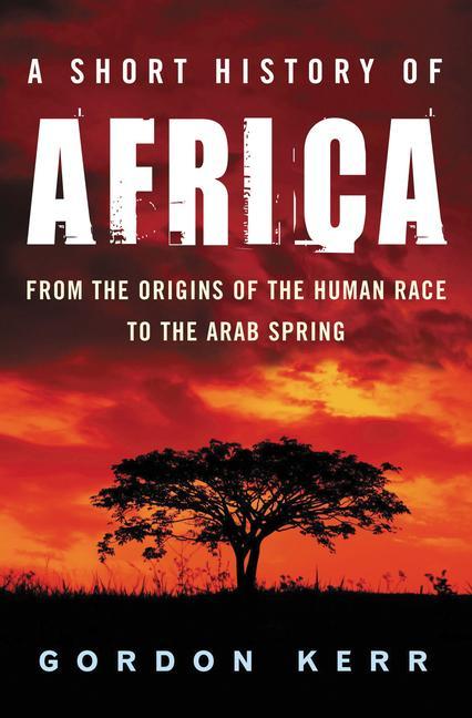 Vorderes Coverbild A Short History of Africa