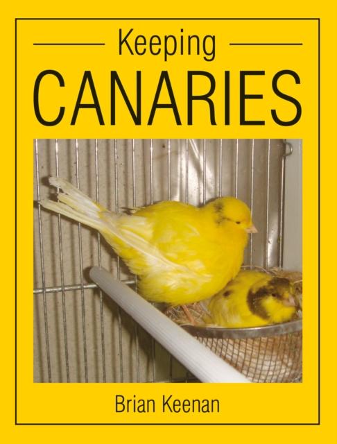 Vorderes Coverbild Keeping Canaries