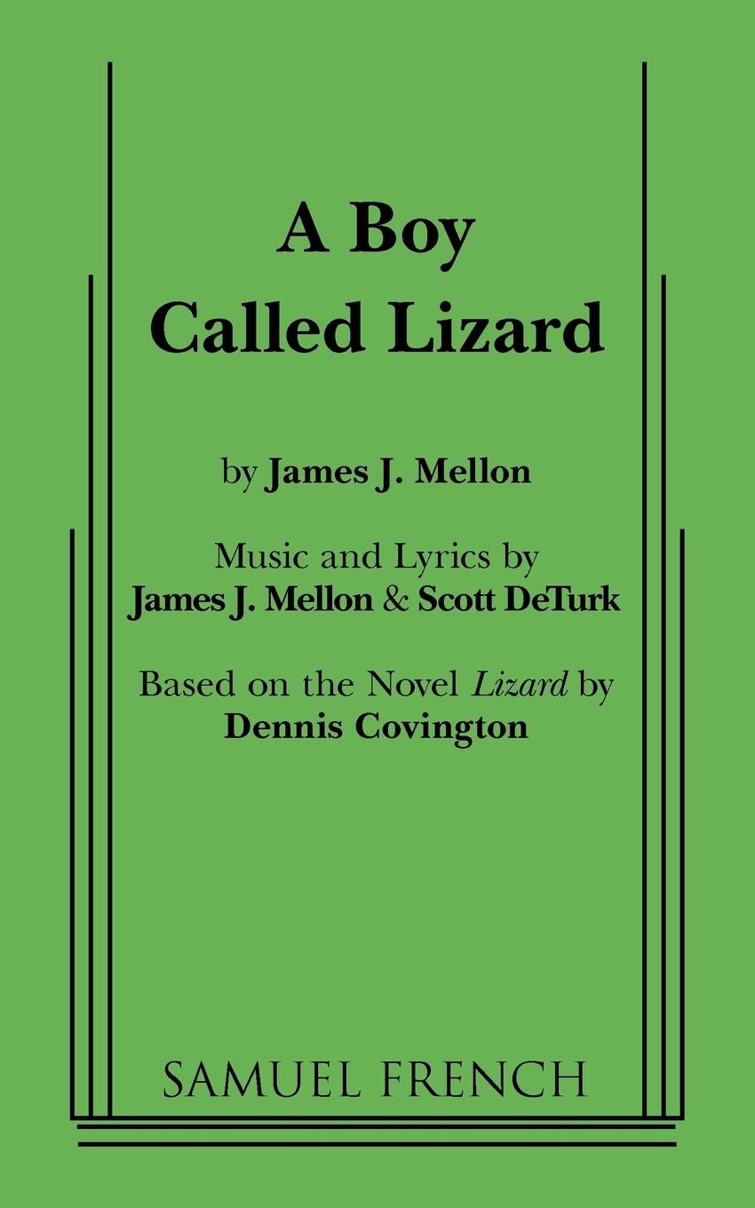 Vorderes Coverbild A Boy Called Lizard