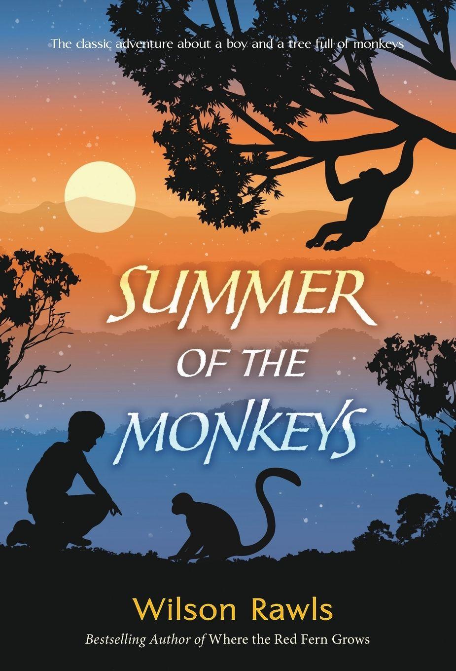 Vorderes Coverbild Summer of the Monkeys