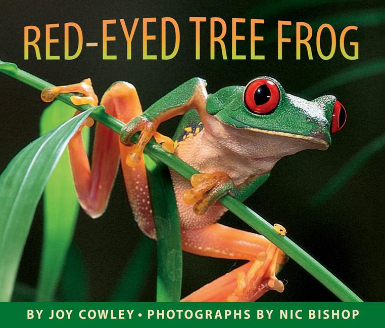 Vorderes Coverbild Red-Eyed Tree Frog