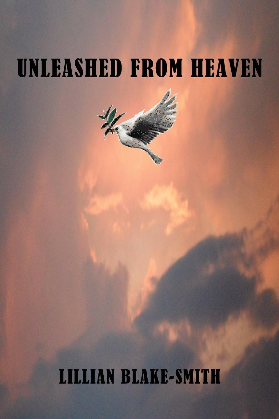 Vorderes Coverbild Unleashed from Heaven