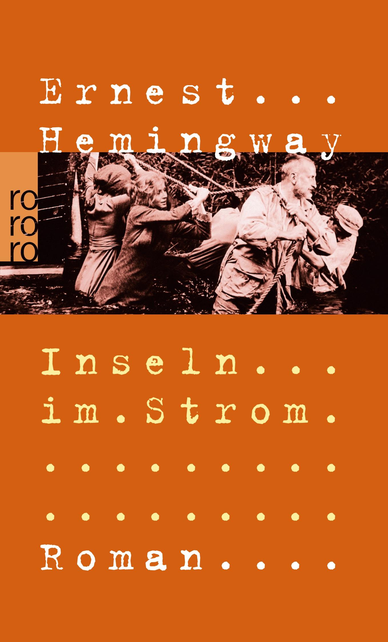Vorderes Coverbild Inseln im Strom