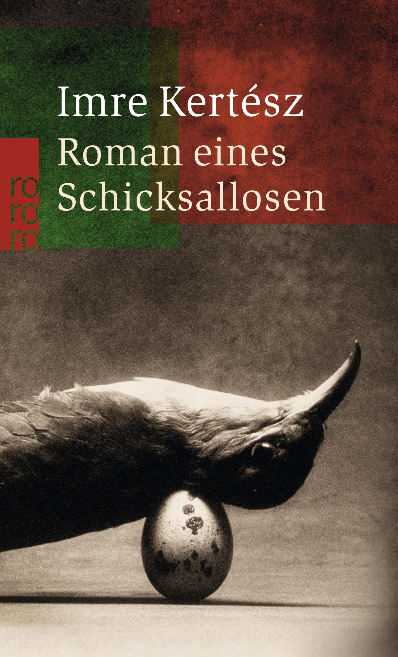 Vorderes Coverbild Roman eines Schicksallosen