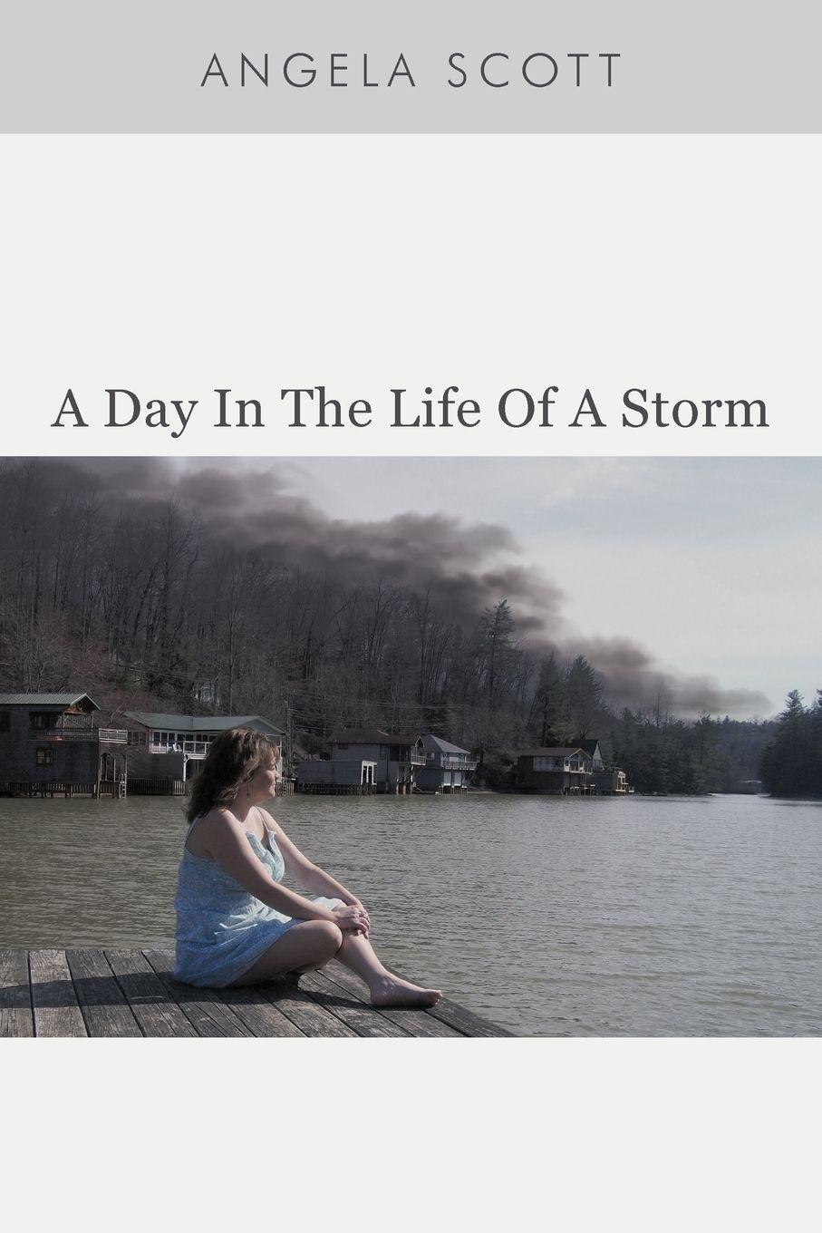 Vorderes Coverbild A Day in the Life of a Storm