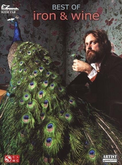 Vorderes Coverbild Best of Iron & Wine