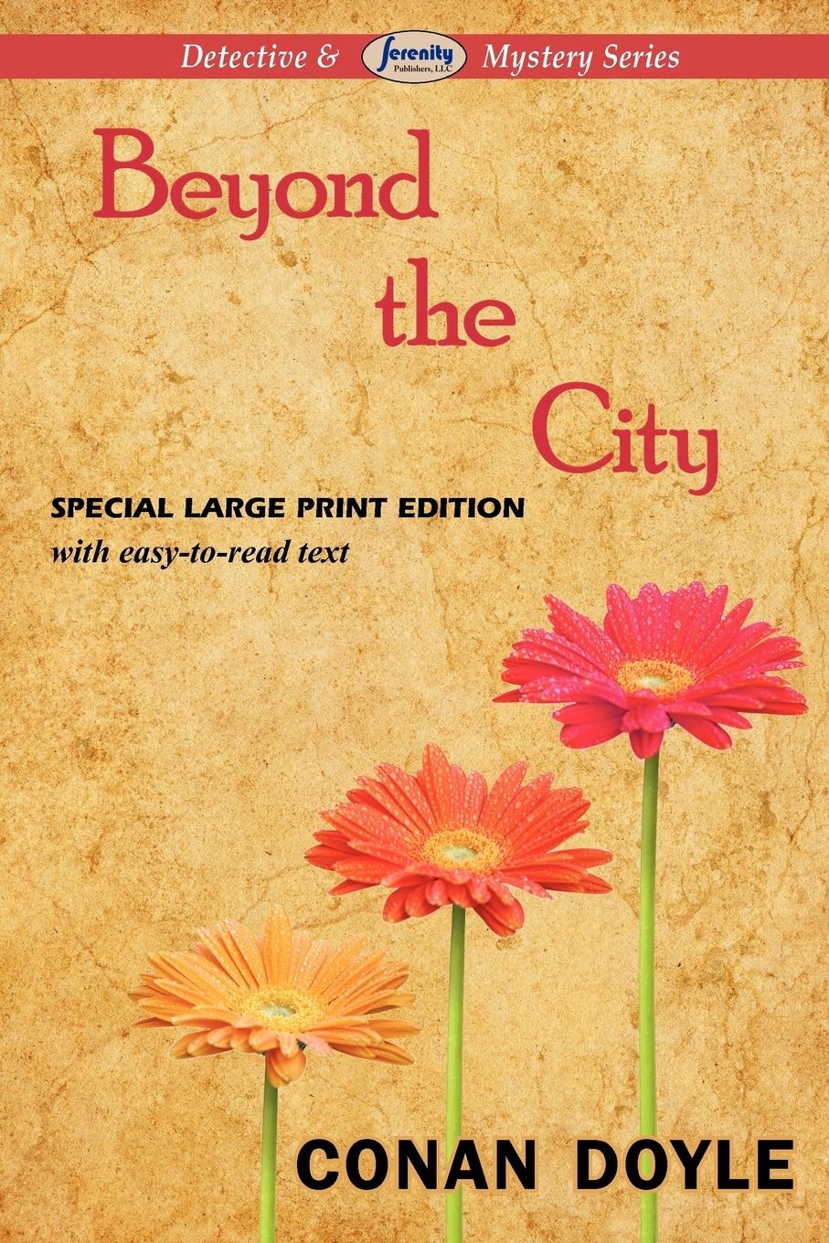 Vorderes Coverbild Beyond the City