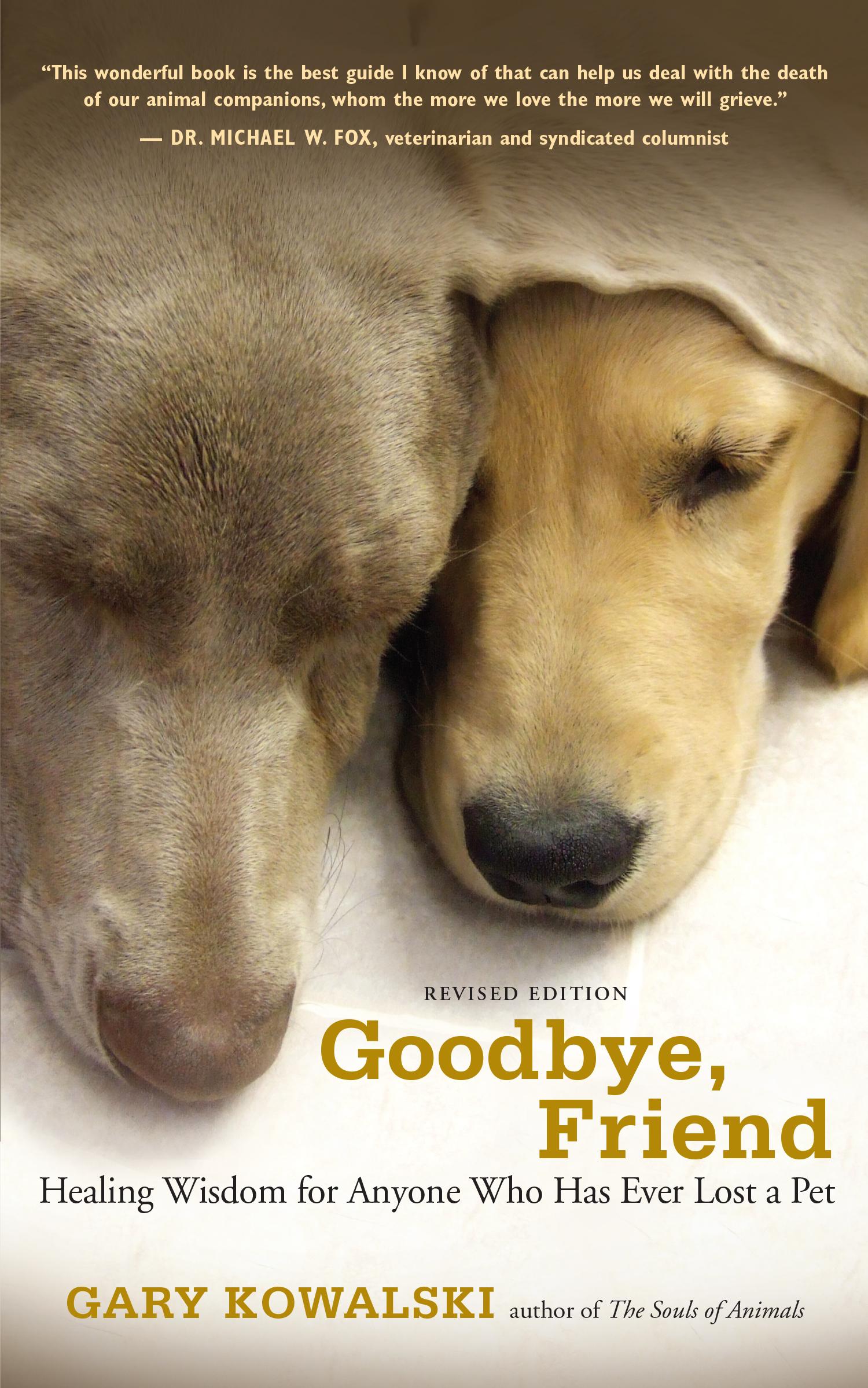 Vorderes Coverbild Goodbye, Friend