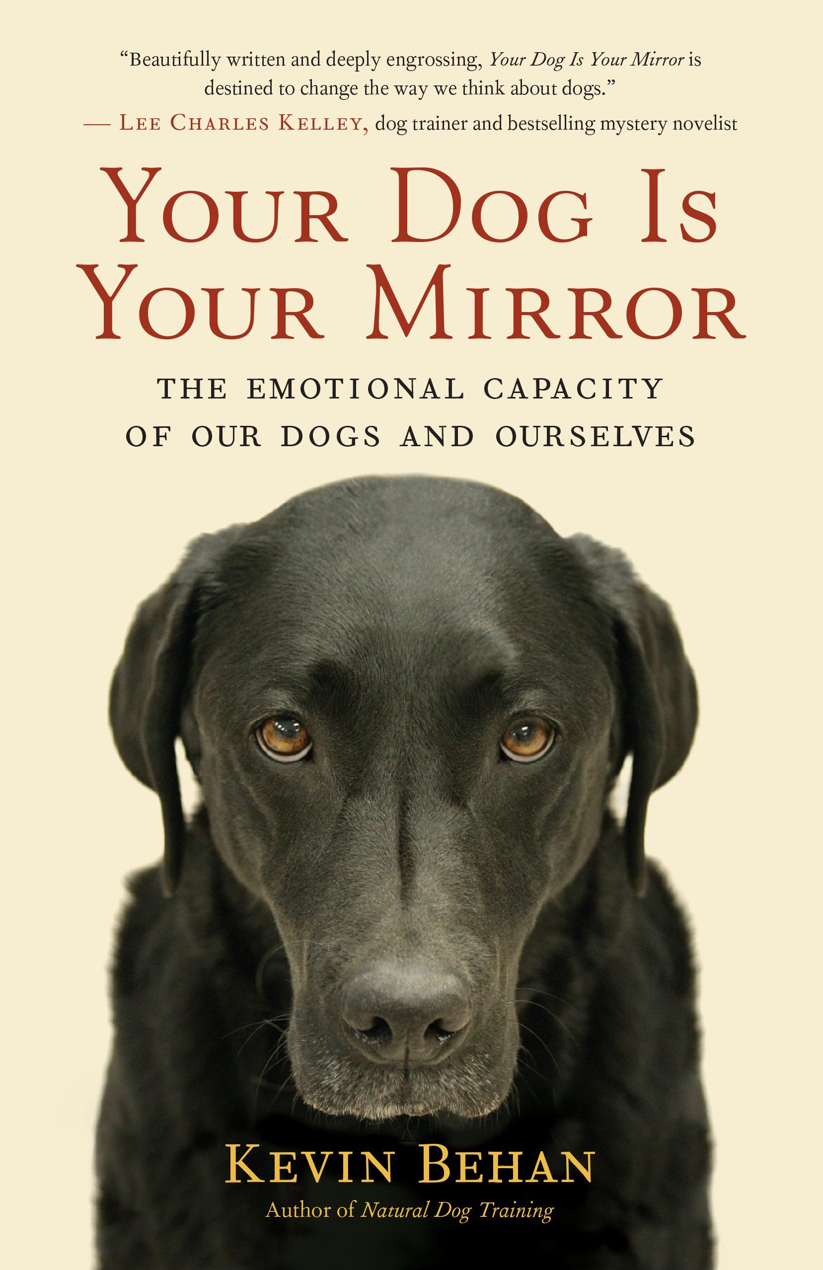 Vorderes Coverbild Your Dog Is Your Mirror