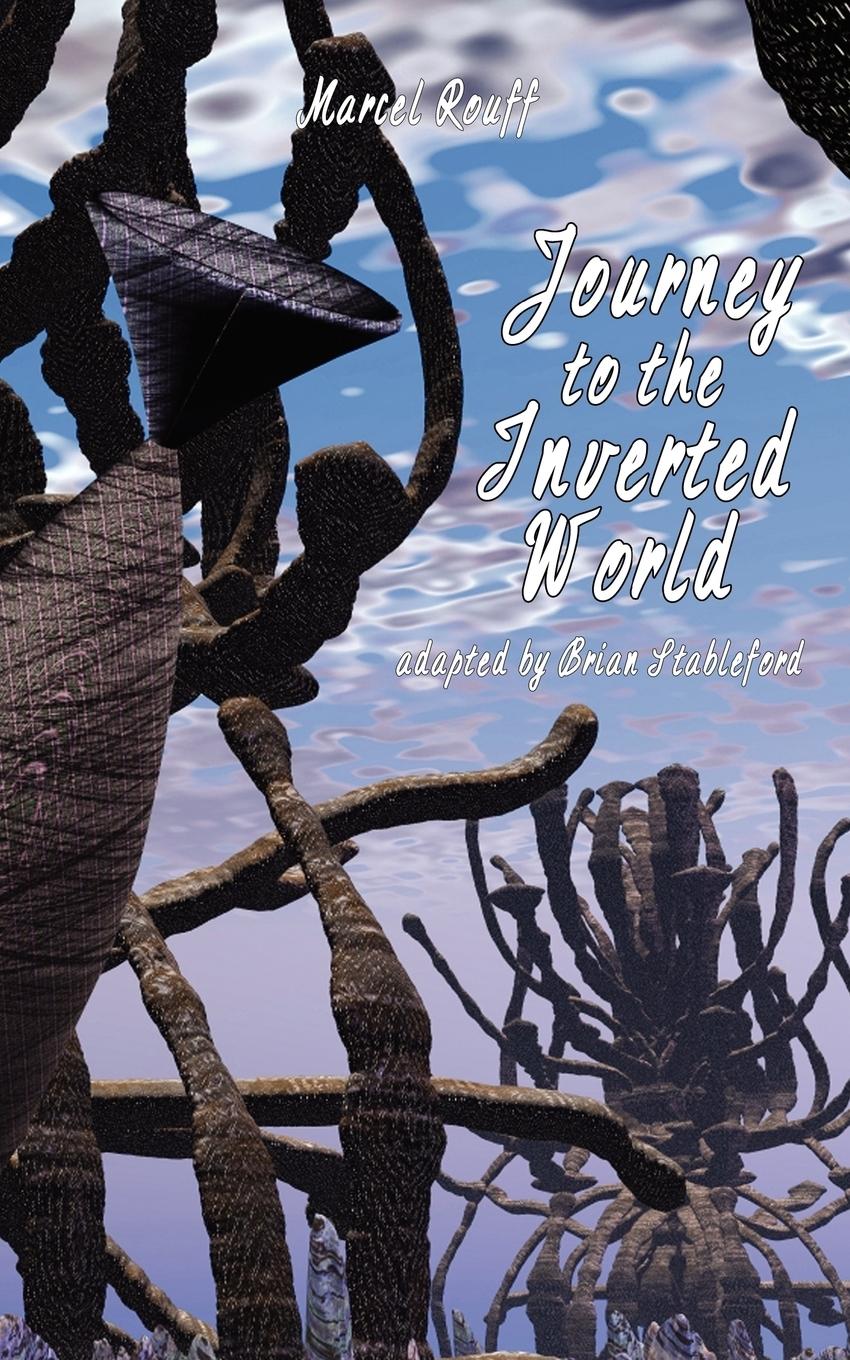 Vorderes Coverbild Journey to the Inverted World