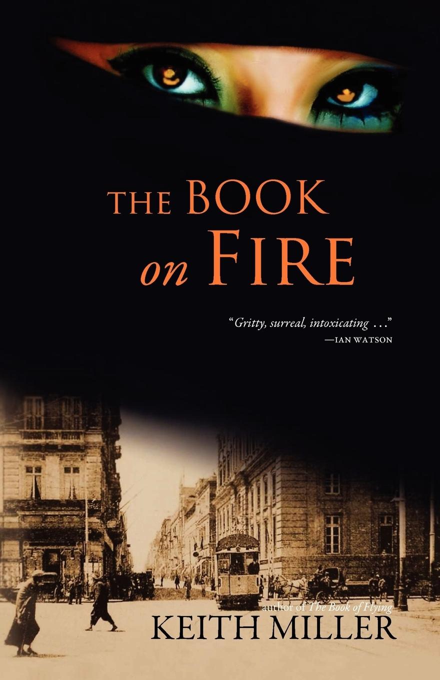 Vorderes Coverbild The Book on Fire