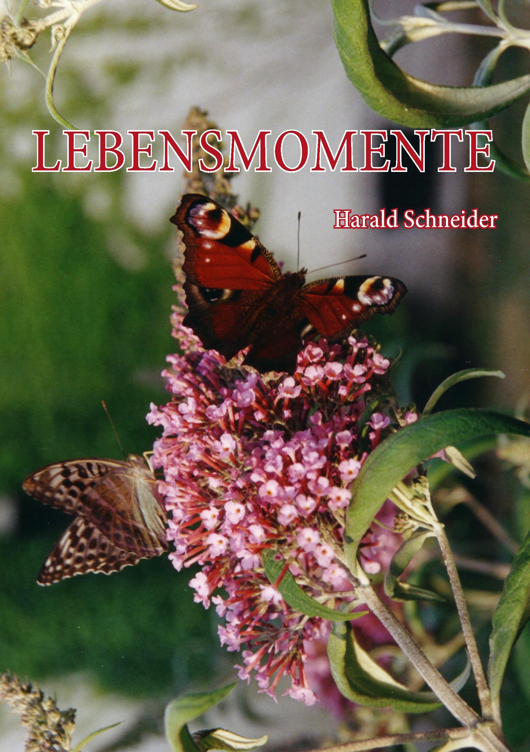 Vorderes Coverbild Lebensmomente