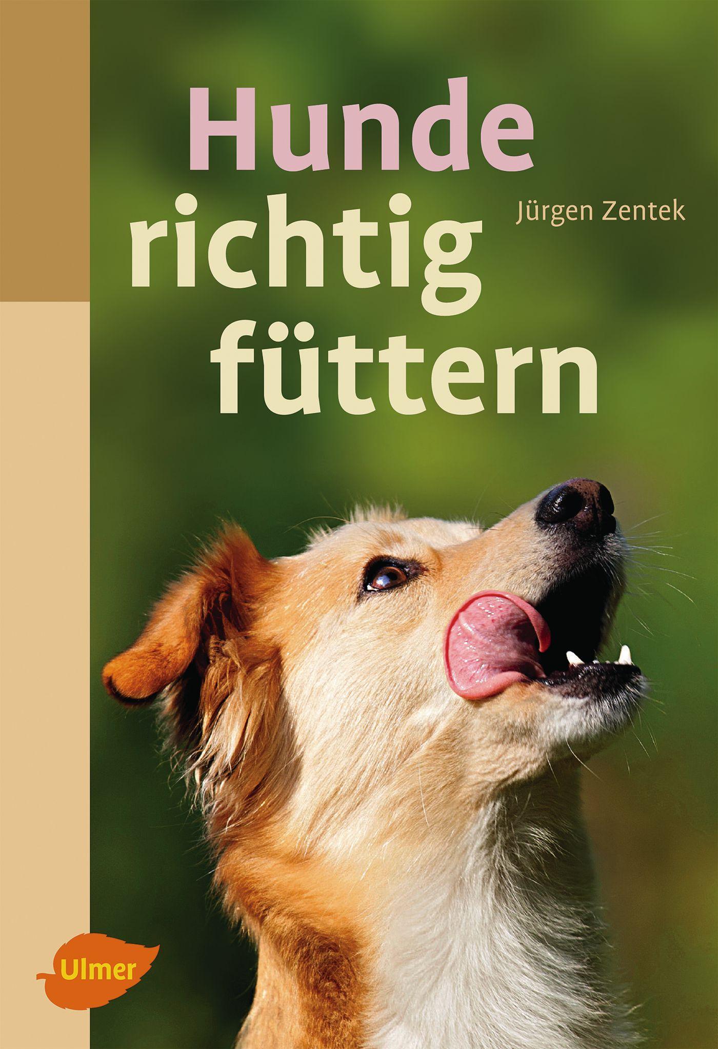 Vorderes Coverbild Hunde richtig füttern