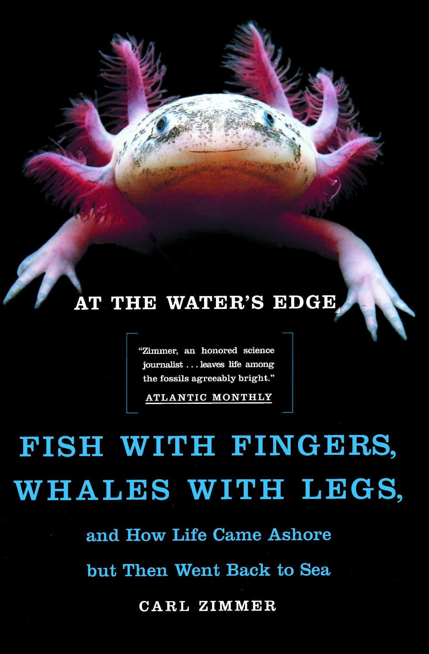 Vorderes Coverbild At the Water's Edge