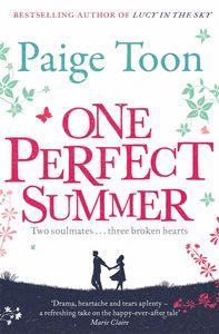Vorderes Coverbild One Perfect Summer
