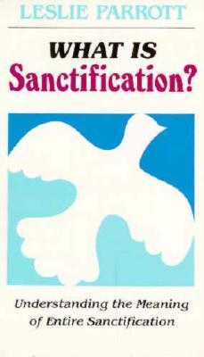 Vorderes Coverbild What Is Sanctification?