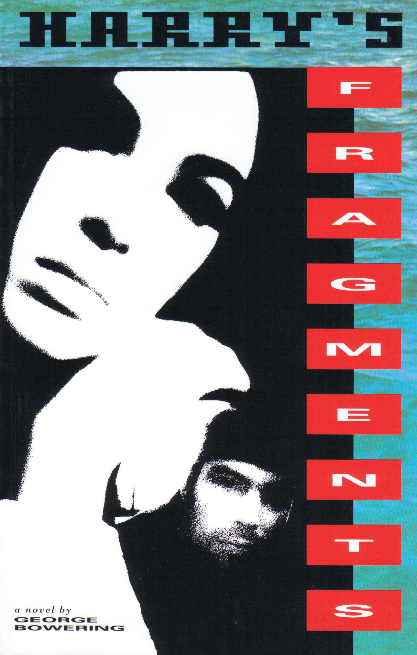 Vorderes Coverbild Harry's Fragments