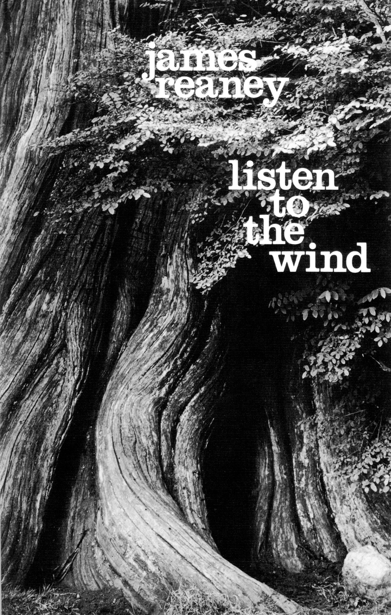 Vorderes Coverbild Listen to the Wind