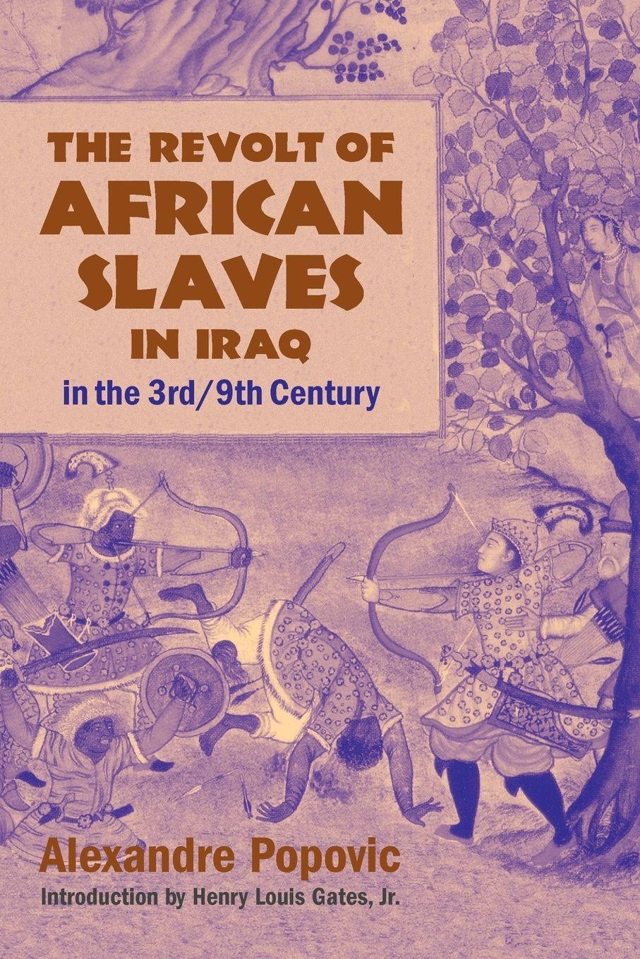 Vorderes Coverbild The Revolt of African Slaves in Iraq