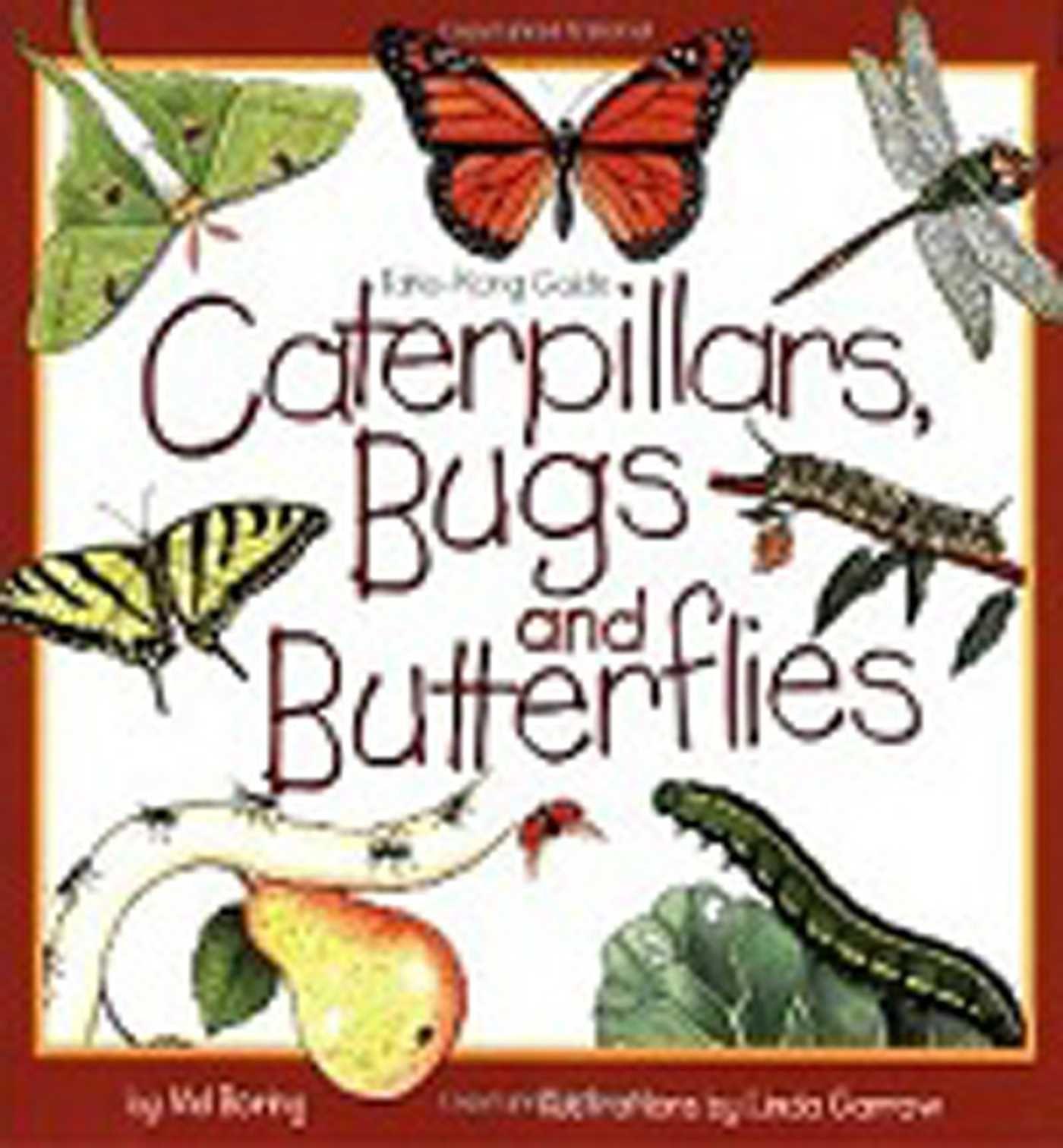 Vorderes Coverbild Caterpillars, Bugs and Butterflies
