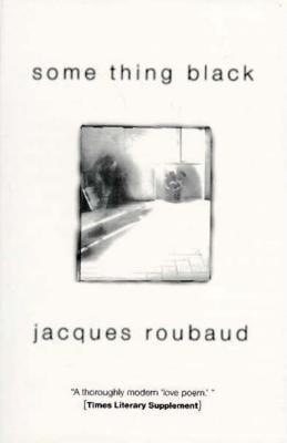 Vorderes Coverbild Some Thing Black