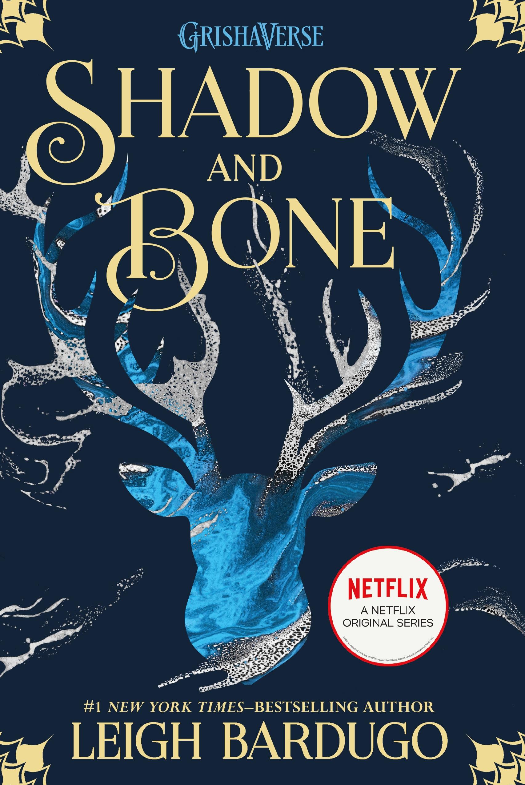 Vorderes Coverbild Shadow and Bone